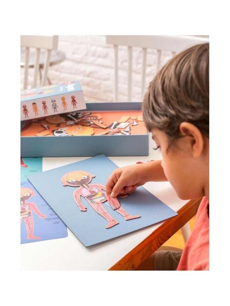 Apli Kids, magnetyczna układanka, ciało człowieka