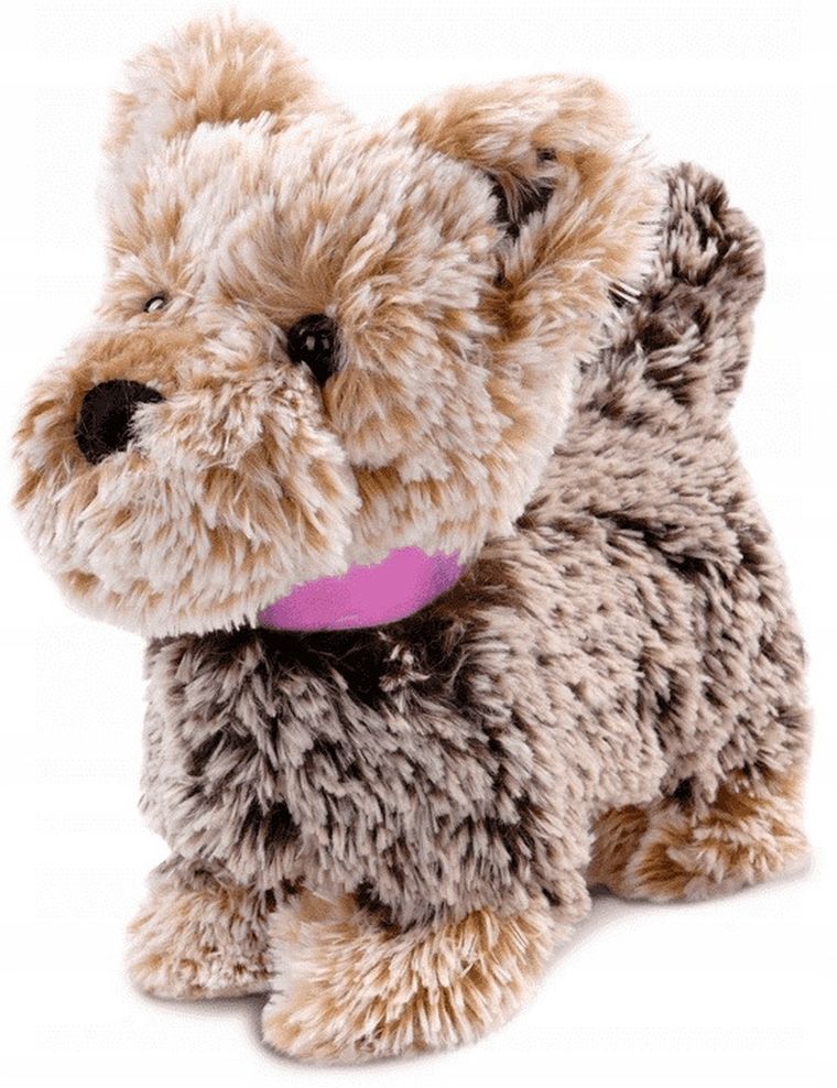 Artyk, Natalia, piesek chodzący na smyczy, brązowy