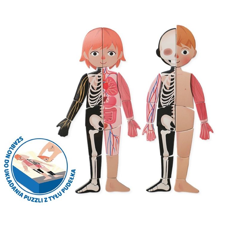 Askato, Genialny dzieciak, Moje ciało, puzzle magnetyczne, 108 elementów