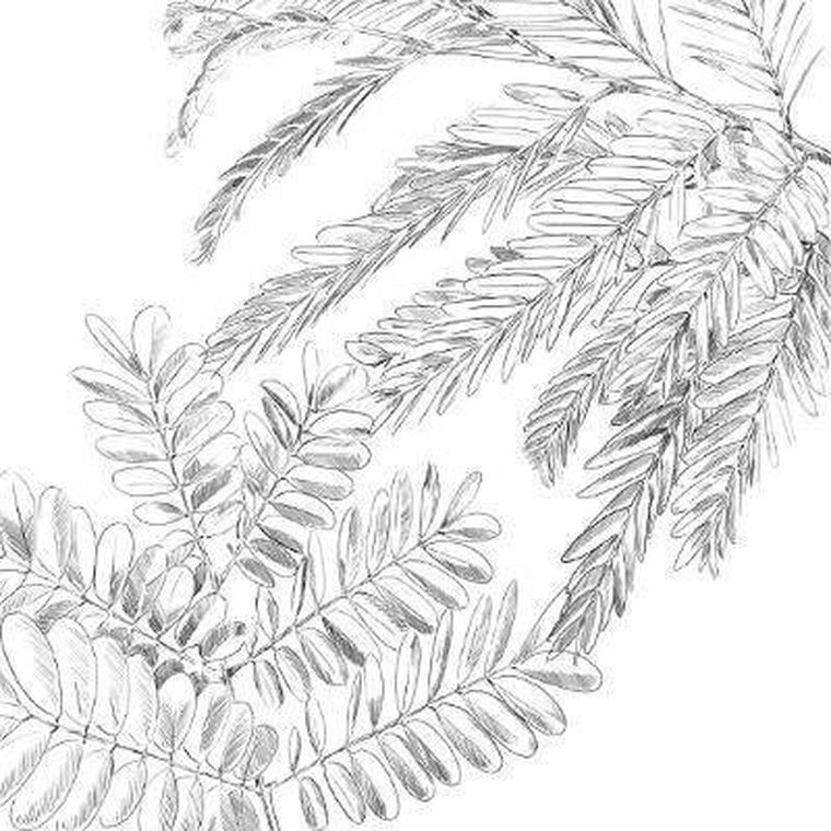 Atmosphera, komplet pościeli bawełnianej dla 2 osób, Monstera, 240-220 cm