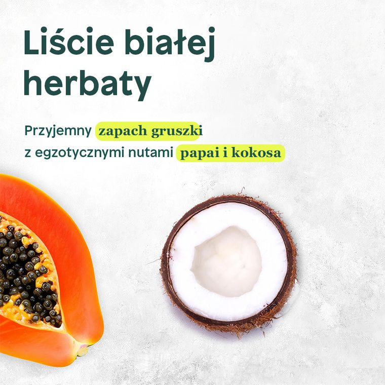 Attitude, szampon silnie nawilżający do włosów suchych z quinoa i jojoba, 473 ml