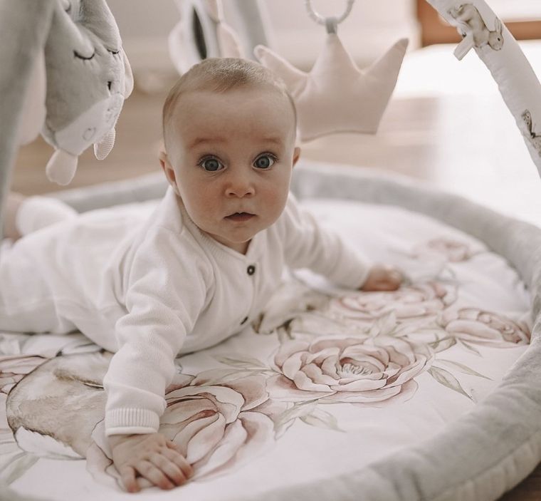 Baby Steps, Peony Dreamland, mata edukacyjna