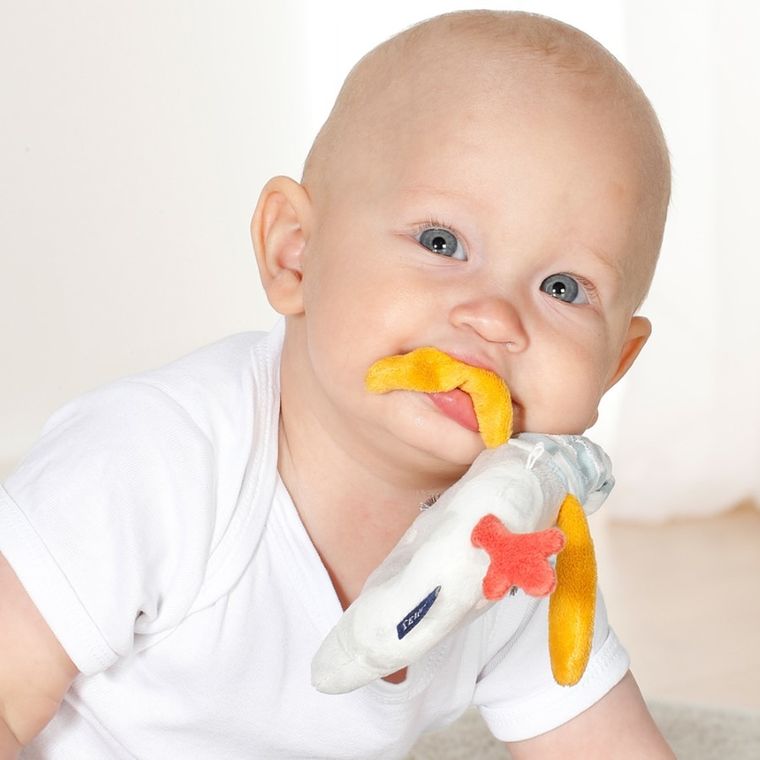 BabyFehn, Słoń, Dobranoc, maskotka z grzechotką, świecąca w ciemności