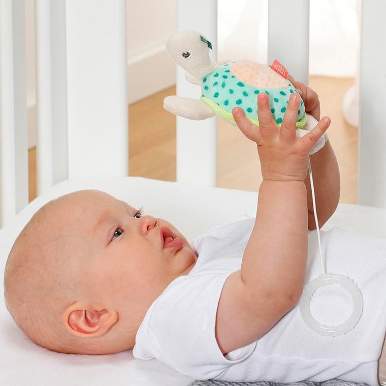 BabyFehn, Żółw, Morze, maskotka z pozytywką