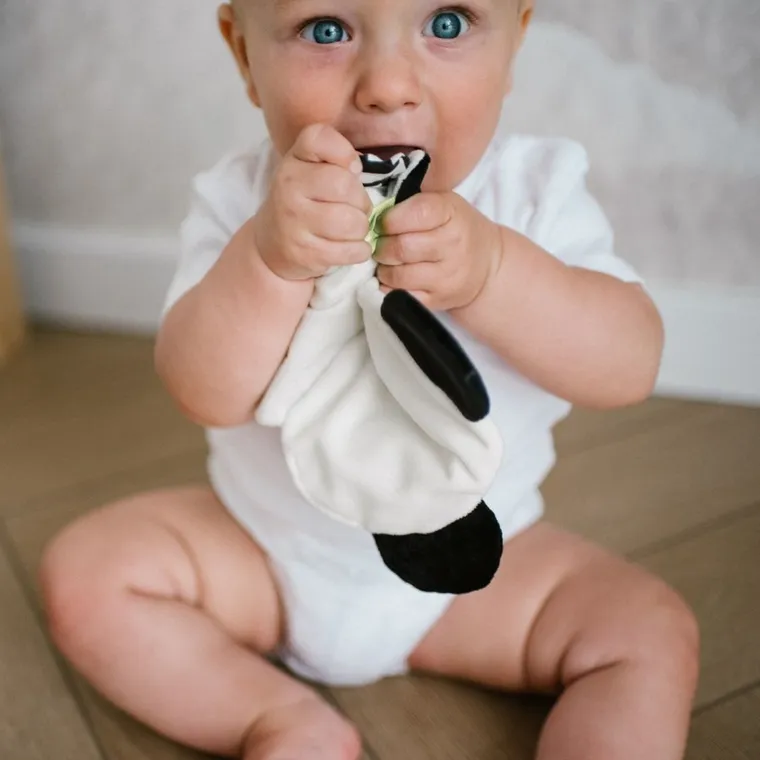 BabyOno, Panda Polly, przytulanka, szeleścik