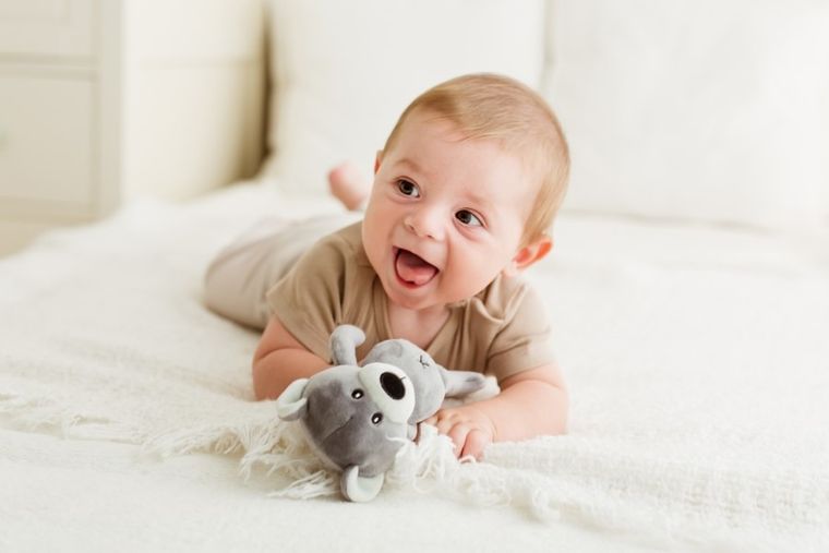 Balibazoo, Tulimy, miś, maskotka, szary, 19 cm