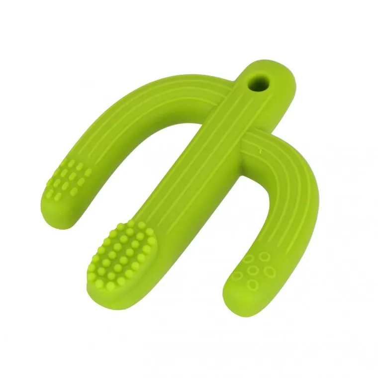 Bam Bam, Kaktus, gryzak, szczoteczka