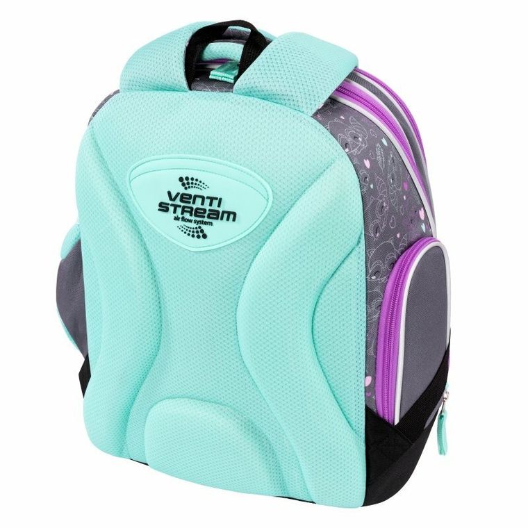 Bambino, plecak szkolny, 2-komorowy, Racoon