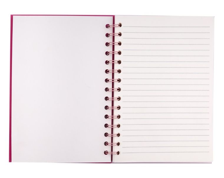 Beniamin, Lilo i Stitch, notes na spirali z przypinkami, A5, 80 kartek, kratka, różowy, 1 szt.