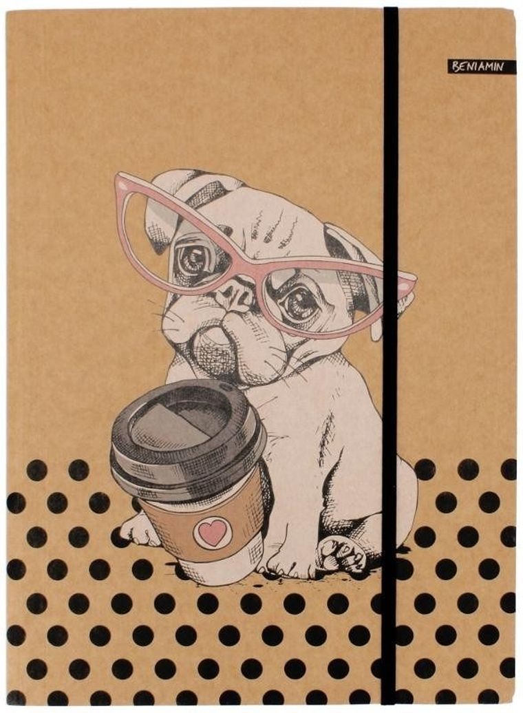Beniamin, teczka z gumką A4, kraft liner, 1 szt.