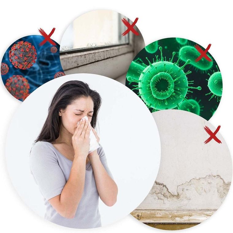 Berdsen, osuszacz powietrza, pochłaniacz wilgoci, BD-529