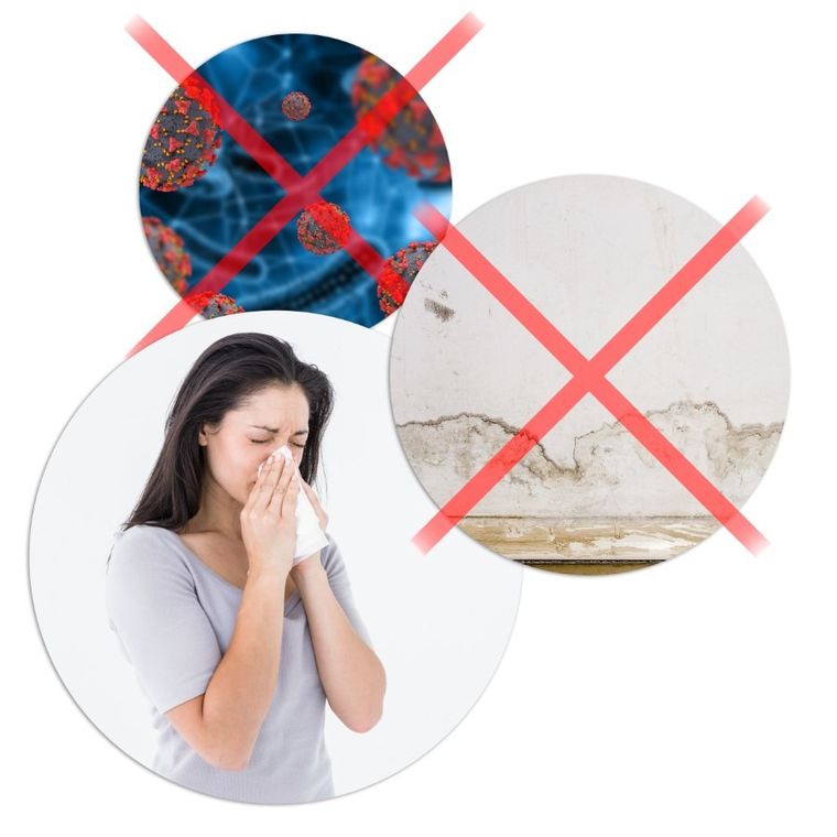 Berdsen, osuszacz powietrza, pochłaniacz wilgoci, czarny, BR-10B