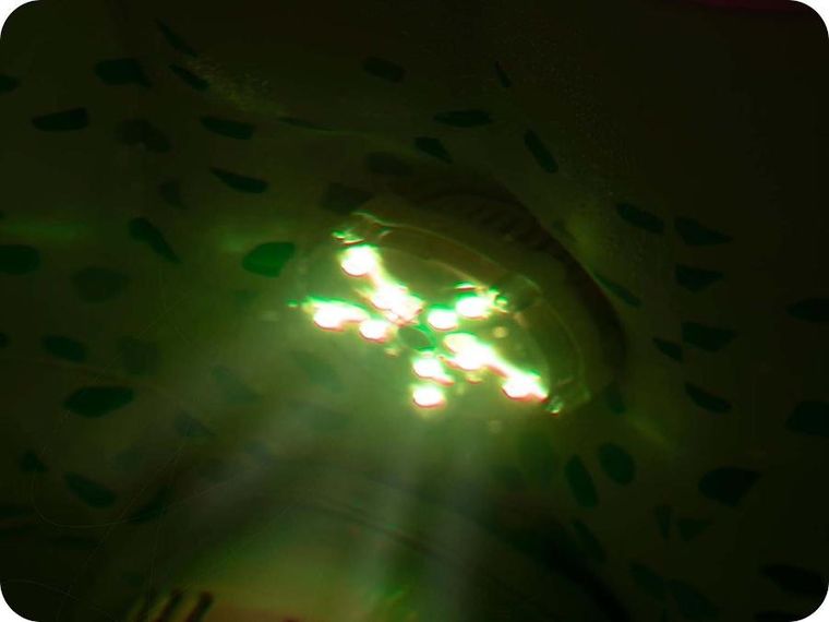 Bestway, lampka LED do jacuzzi, 7 kolorów