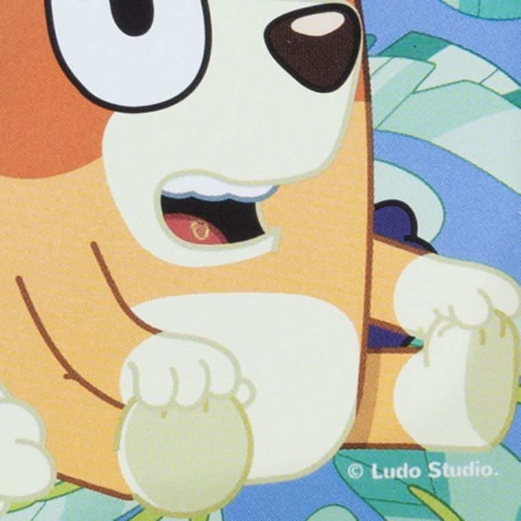 Bluey, Funny, lunchbox