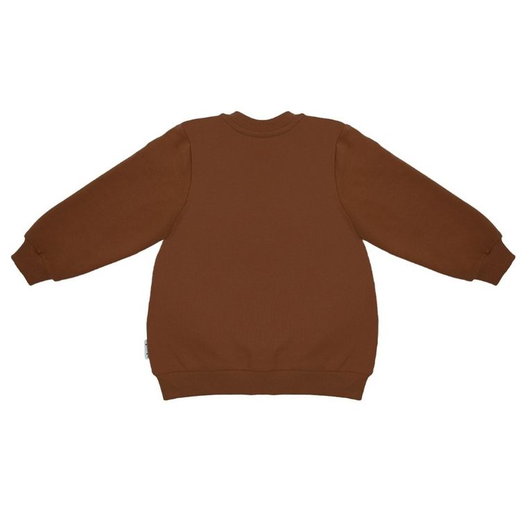 Bluza chłopięca, rozpinana, brązowa, Nicol