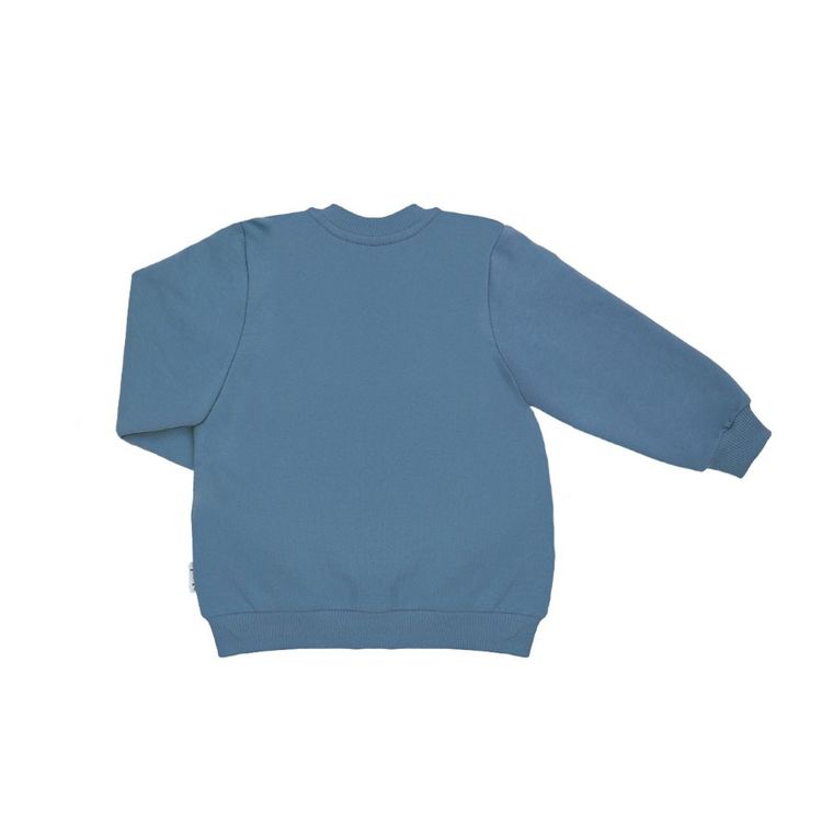 Bluza chłopięca, rozpinana, niebieska, Nicol