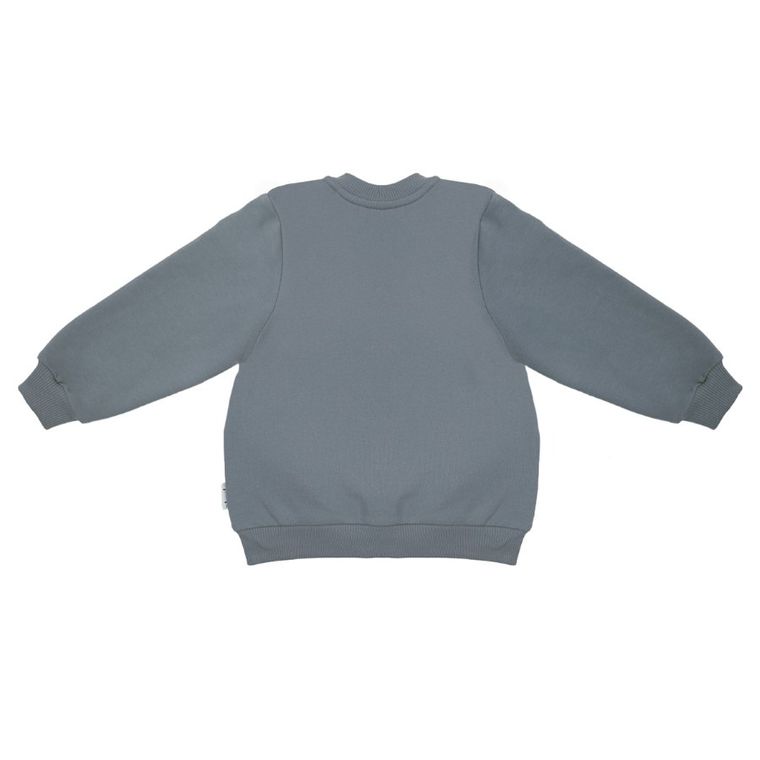 Bluza chłopięca, rozpinana, szara, Nicol