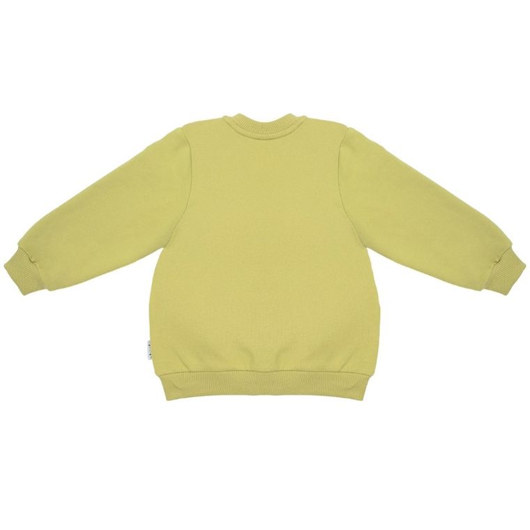 Bluza chłopięca, rozpinana, zielona, Nicol