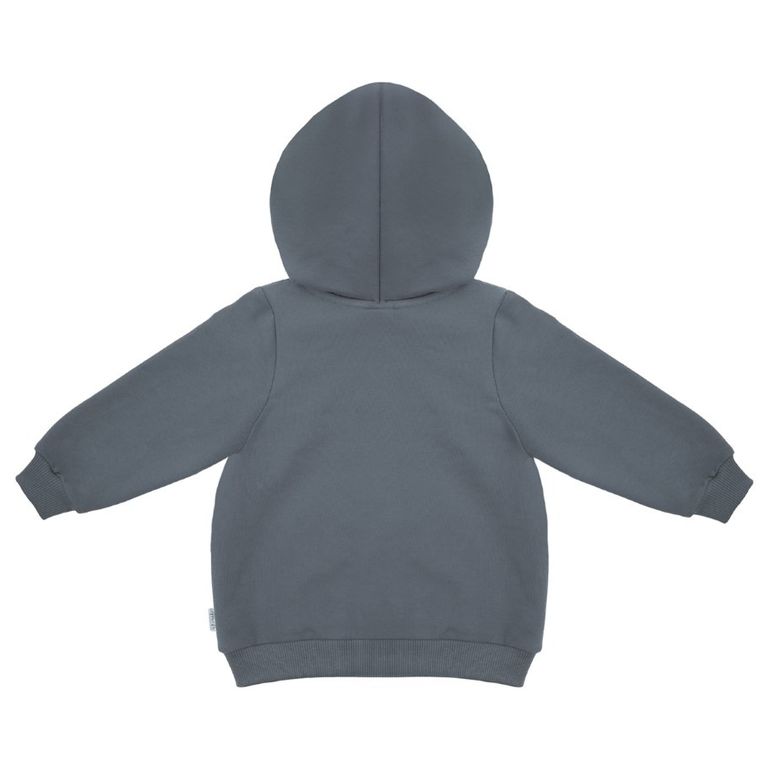 Bluza dziecięca z kapturem, rozpinana, szara, Nicol