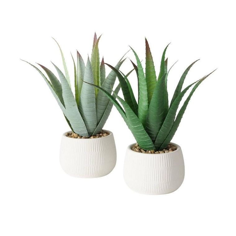 Boltze Home, sztuczna roślina aloes w donicze, Mondrago, 29 cm