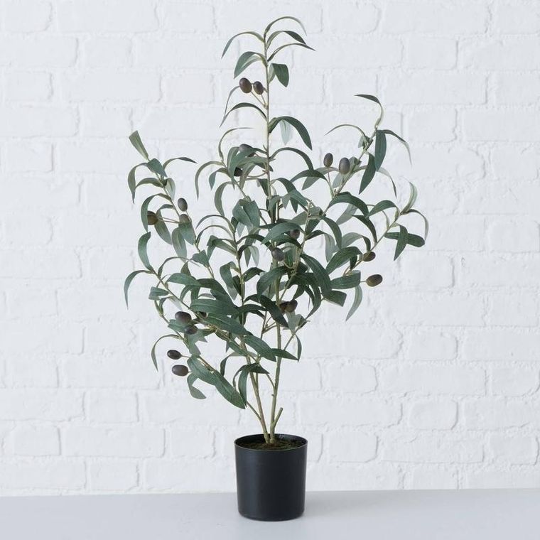 Boltze Home, sztuczne drzewko oliwne, 70-25 cm