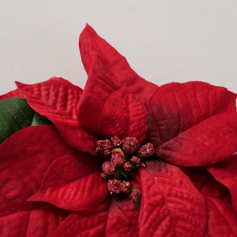 Boltze Home, wieniec świąteczny z kwiatów gwiazdy betlejemskiej, 50 cm