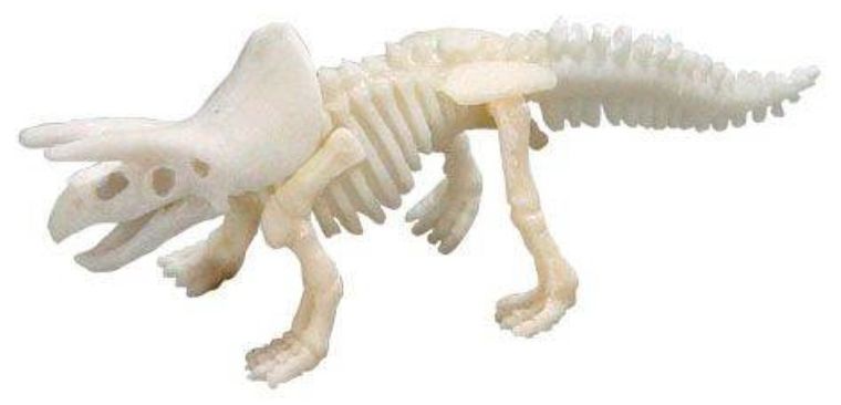 Bones&More, Duży szkielet dinozaura, wykopalisko, odcisk łapy