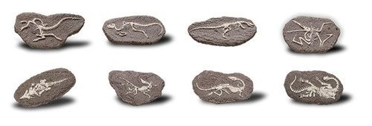 Bones&More, wykopalisko na kamieniu, szkielet dizozaura