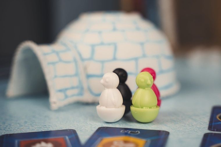 Brain Games, Icecool Wizards, gra familijna