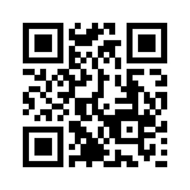 Brio World, Wóz policyjny z dźwiękiem, zabawka drewniana