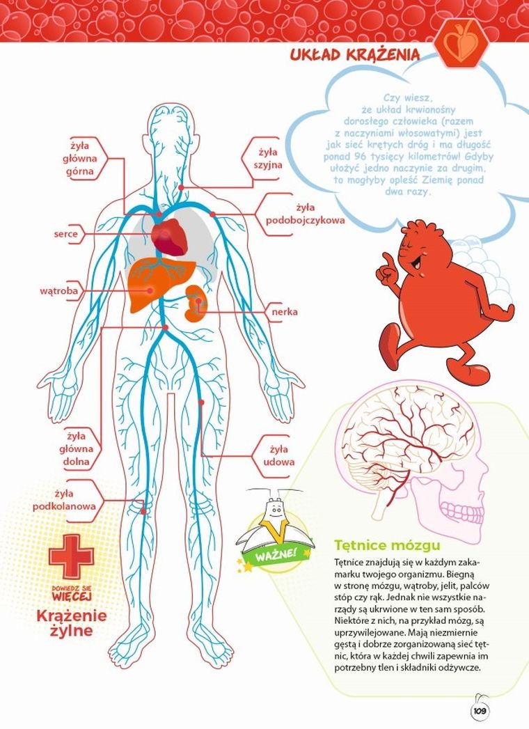 Było sobie życie. Encyklopedia dla dzieci. Tajemnice ludzkiego ciała