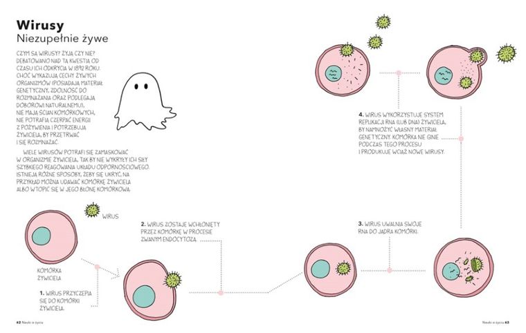 Cały świat jest cudem. Ilustrowany przewodnik po tajemnicach przyrody