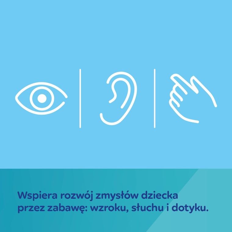 Canpol babies, Fox, mata edukacyjna