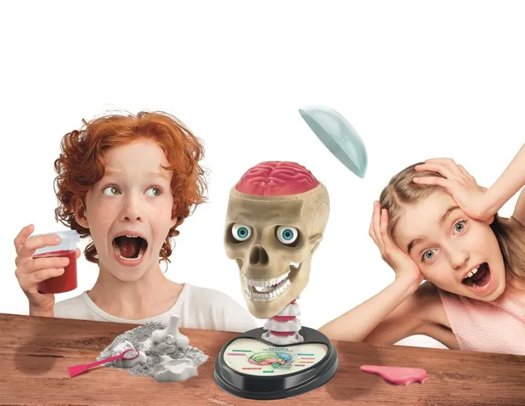 Clementoni, Naukowa Zabawa, Anatomia, zestaw edukacyjny