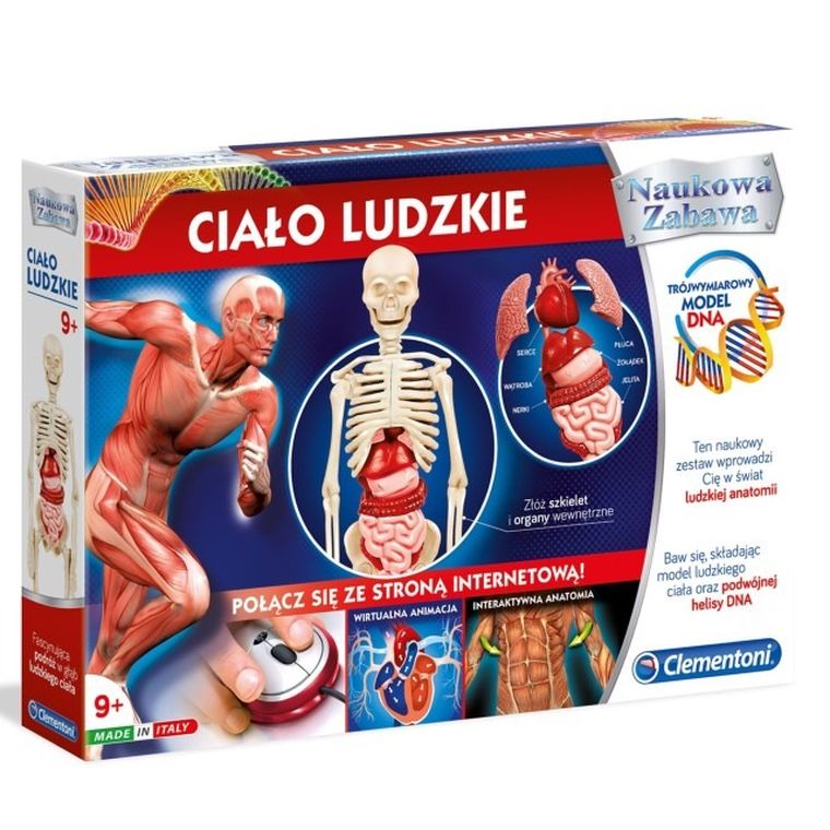 Clementoni, Naukowa Zabawa, Ciało ludzkie, zestaw naukowy