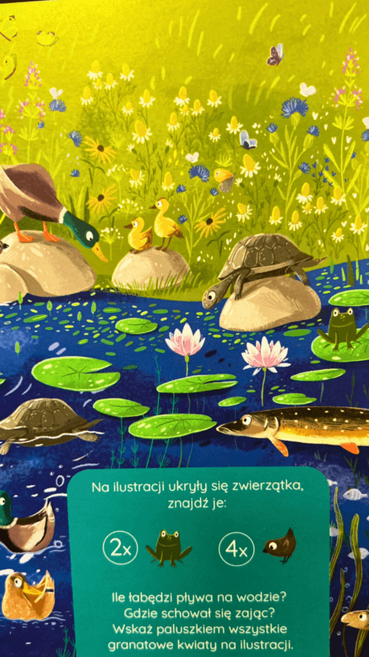 Co się kryje nad wodą i pod wodą