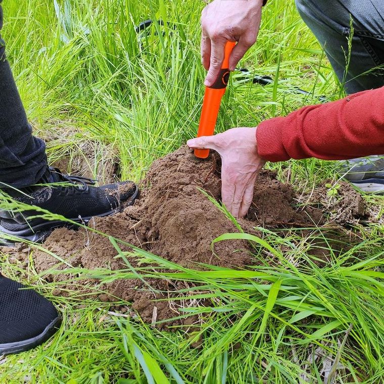 Cobra Tector, wykrywacz metalu Pinpointer metali, CT-1076