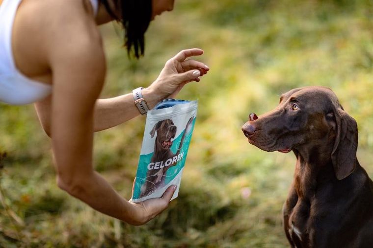 Contipro, Geloren Large Dog, suplement dla psa, 420g