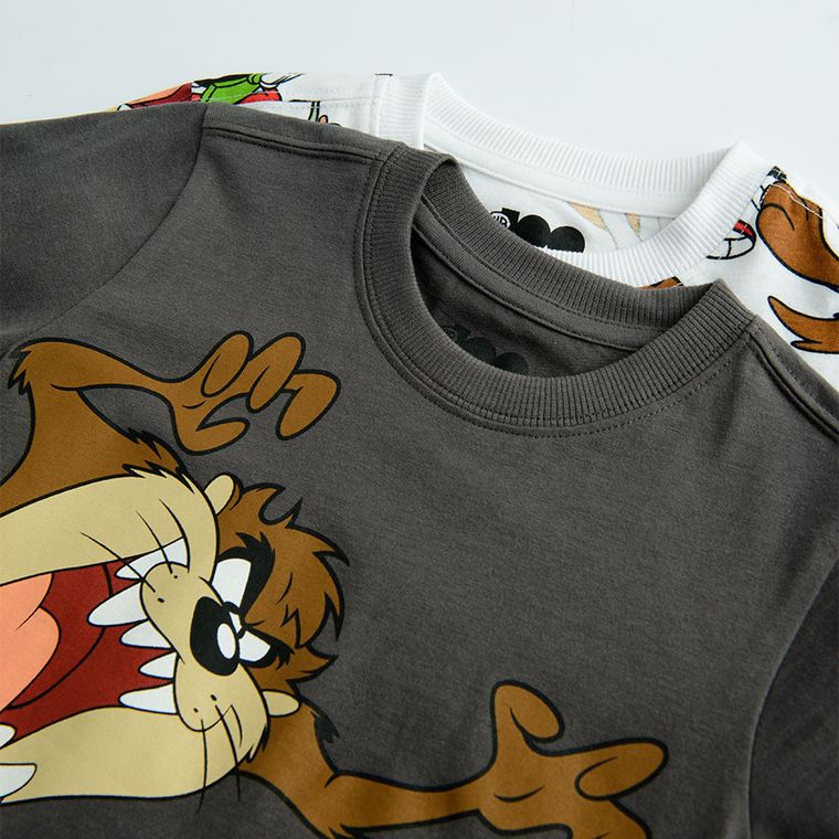 Cool Club, Bluzka chłopięca z długim rękawem, mix, Warner Bros, zestaw, 2 szt.