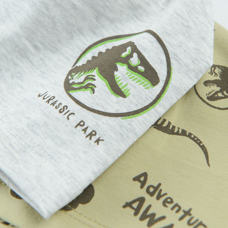Cool Club, Czapka chłopięca, szara, zielona, Jurassic World, zestaw, 2 szt.