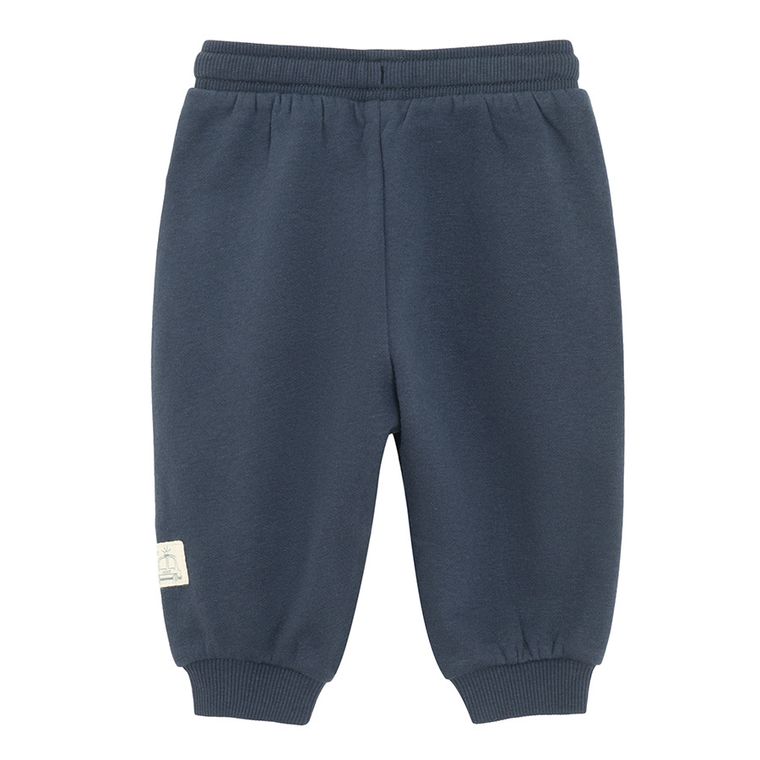 Cool Club, Spodnie dresowe chłopięce, ocieplane, mix, zestaw, 2 szt.