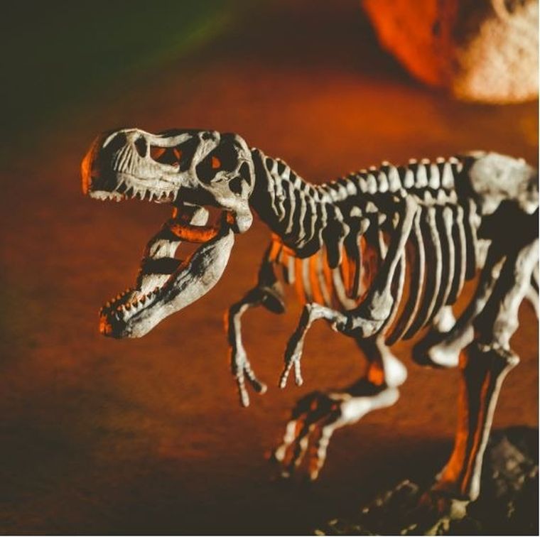 Crazy Science, Smoki i Dinozaury, zestaw kreatywny