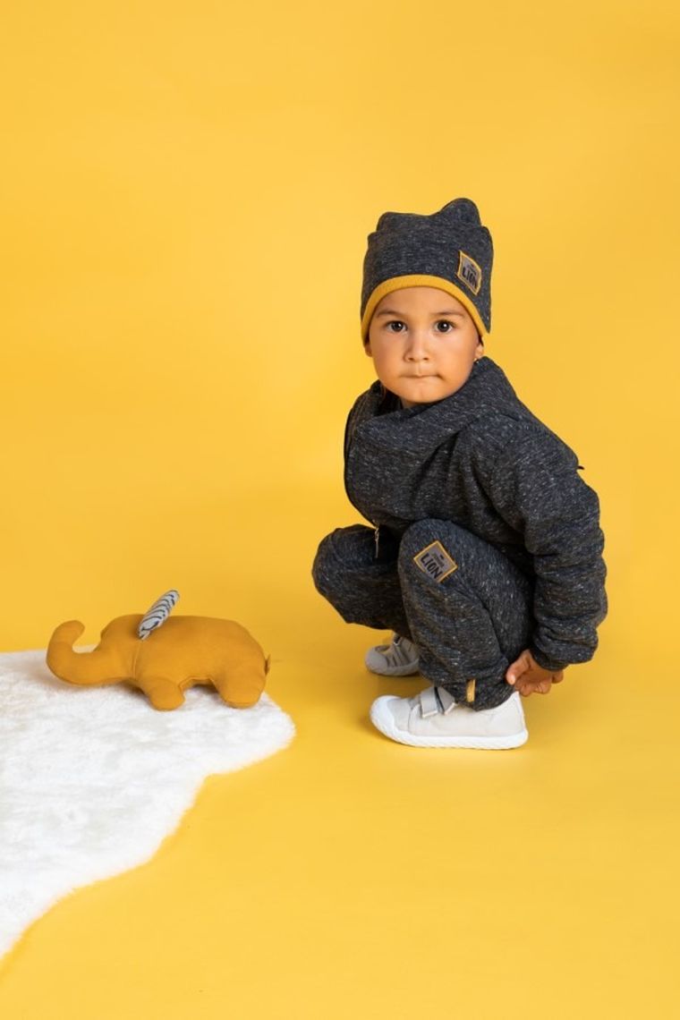 Czapka chłopięca, grafitowa, Junior Lion, Nicol