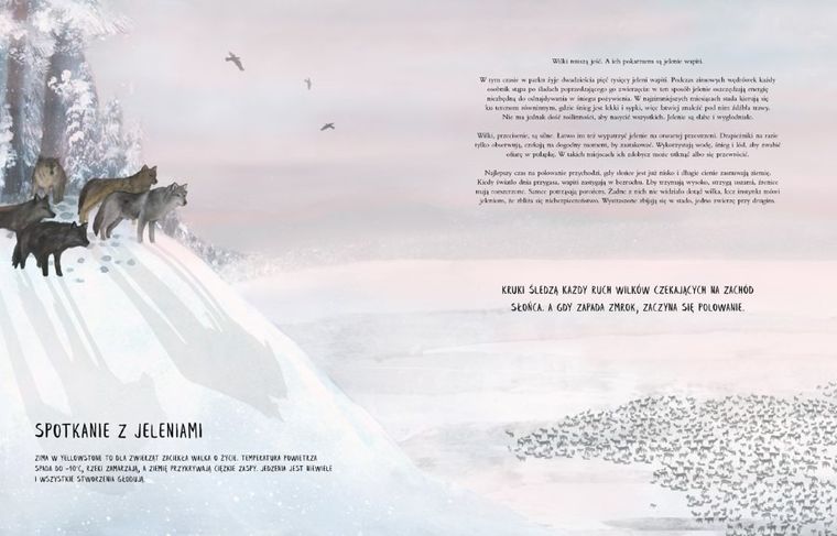 Czternaście wilków