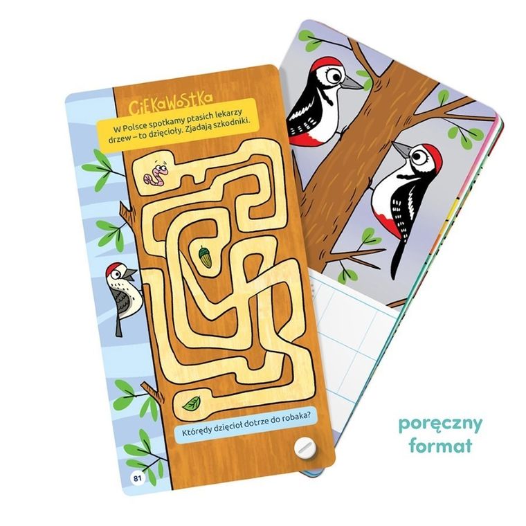 CzuCzu, Fantastyczne gry logiczne