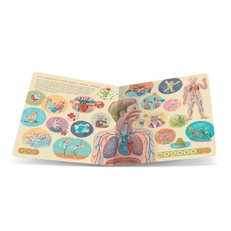 Czytaj z Albikiem. Ciało człowieka