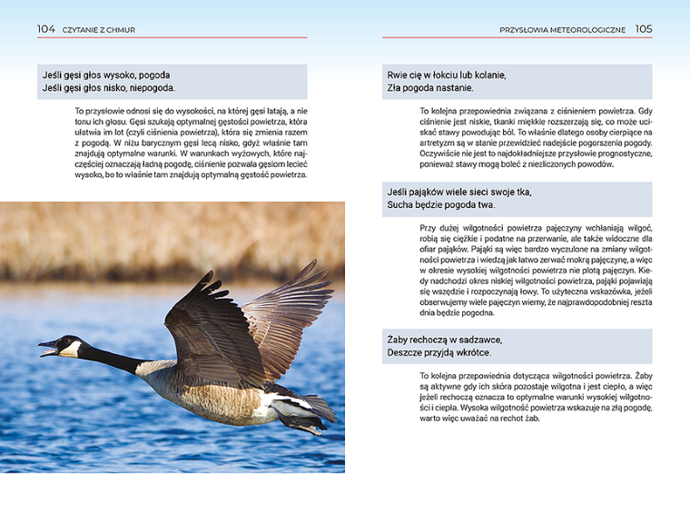 Czytanie z chmur. Jak przewidywać pogodę