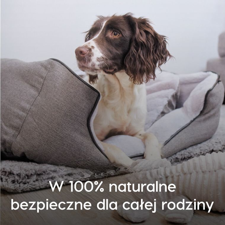 Dew Pet Care, krople do oczu dla zwierząt, 2,5l
