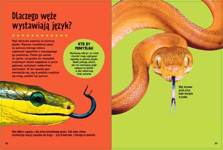 Dlaczego? Moja pierwsza wielka księga odpowiedzi