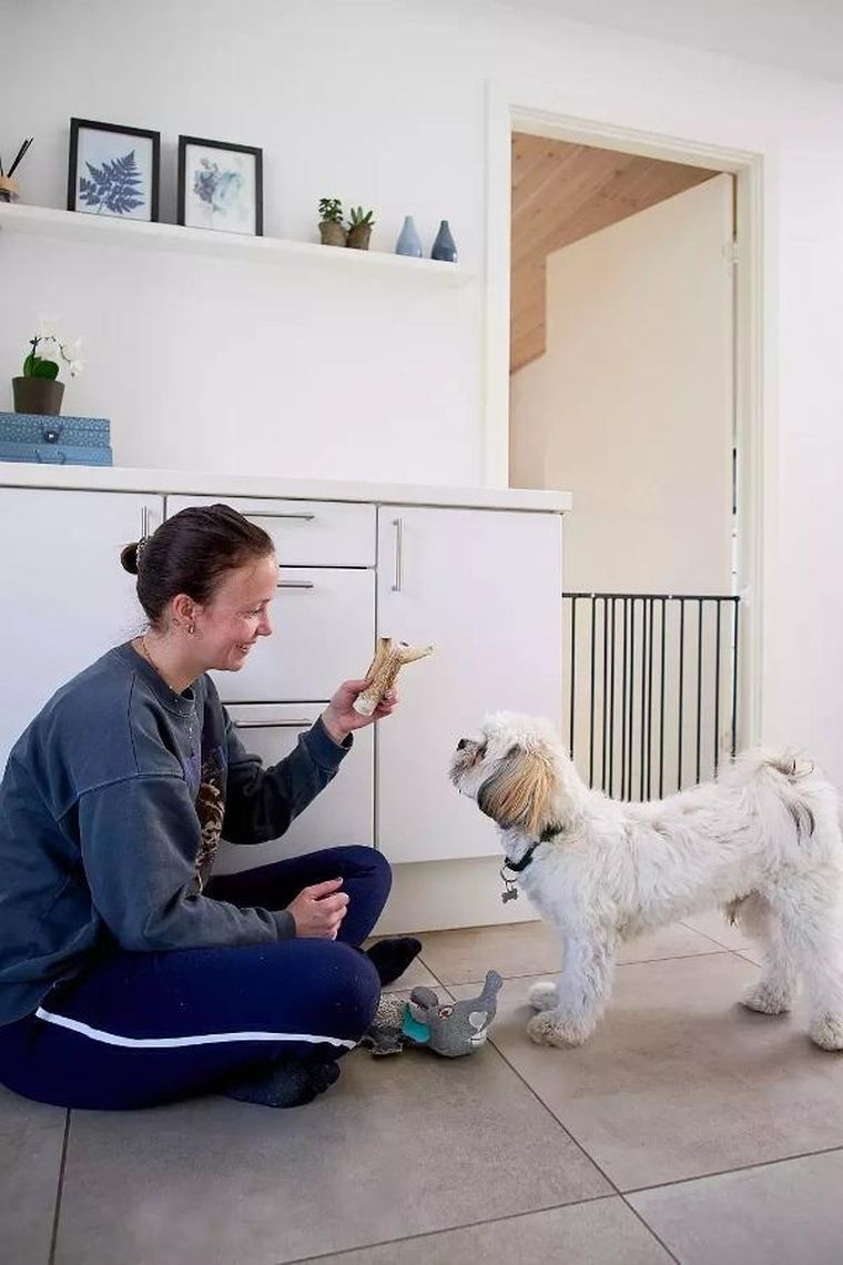 DogSpace, Lucky, przykręcana bramka dla psa, czarna, 62.5-106 cm